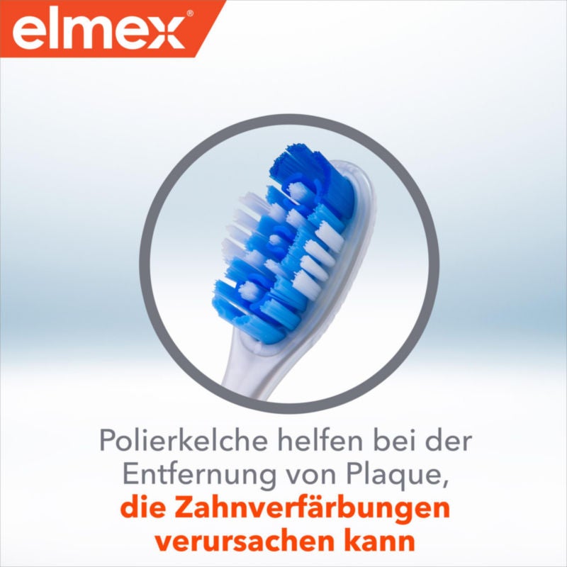 Polierkelche helfen bei der Entfernung von Plaque, die Zahnverfärbungen verursachen kann
