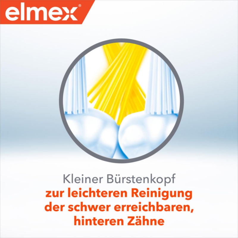 Kleiner Bürstenkopf / zur leichteren Reinigung der schwer erreichbaren, hinteren Zähne